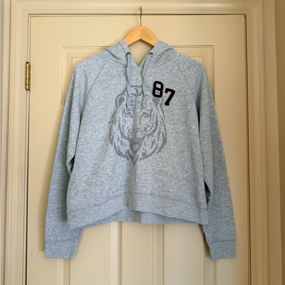 Aeropostale Light Gray Tiger Semi-Cropped Hoodie - Picture 2 of 5